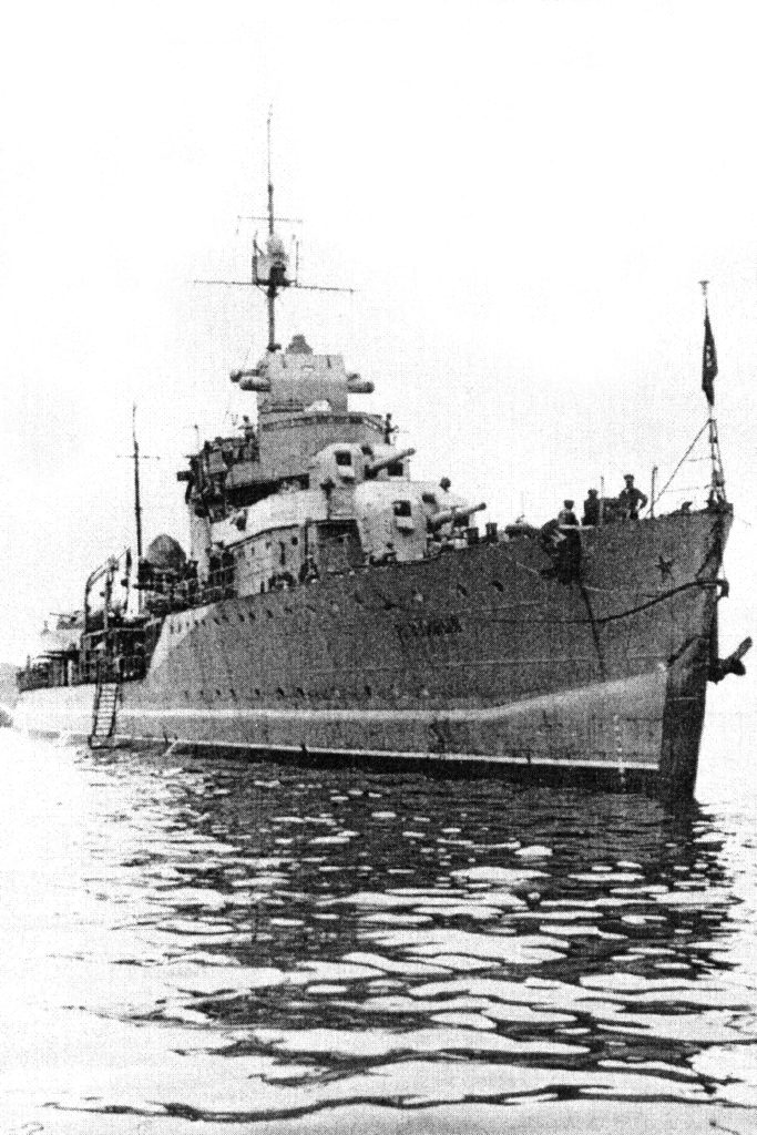 Razumny Torpedo boat (Kola Bay 1944)